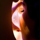 G++ 2012 - P.M. club